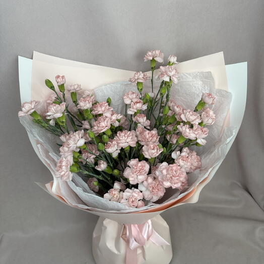 Розовые кустовые диантусы🥰🌸