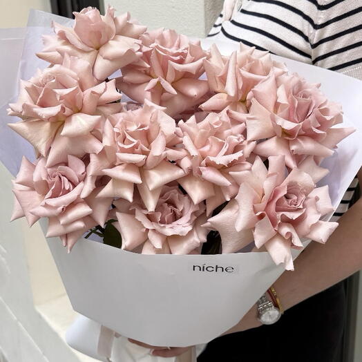 French roses Quiqsand