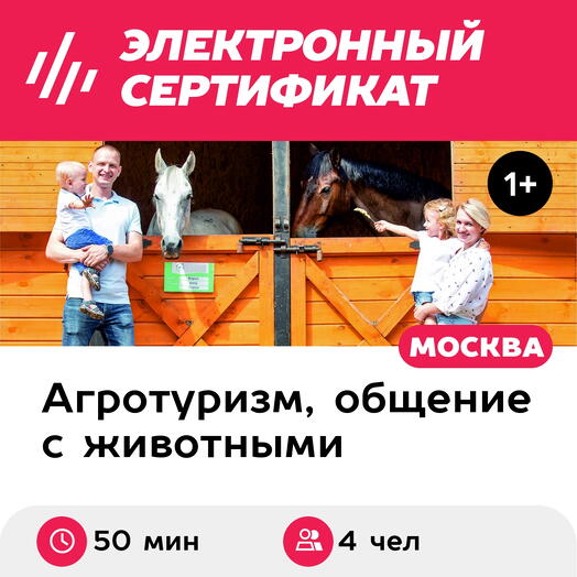 Подарочный сертификат Индивидуальная экскурсия на конюшню и катание верхом, до 4 чел. (50 минут)