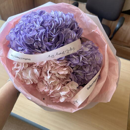 Гортензия🌸