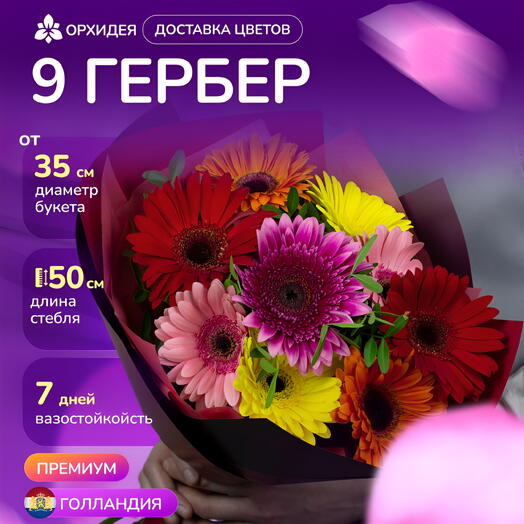 9 гербер микс
