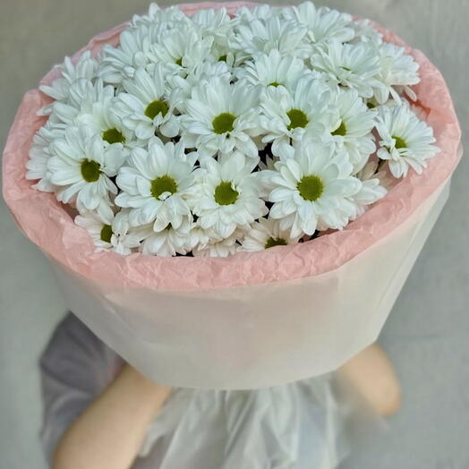 Нежные ромашковые хризантемы 🌸