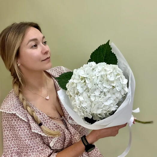 Букет из 1 шт. Белой гортензии