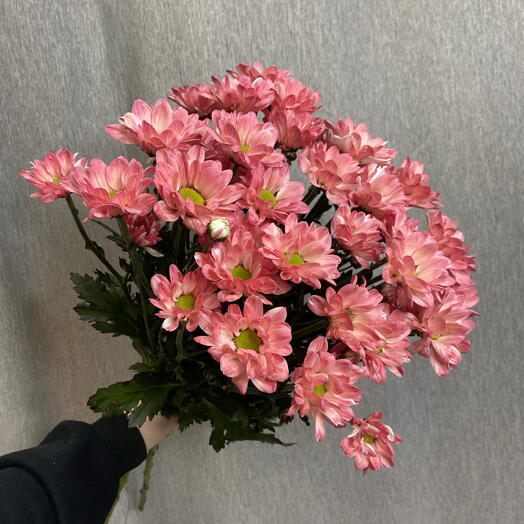 Букет из 5-ти хризантем😍