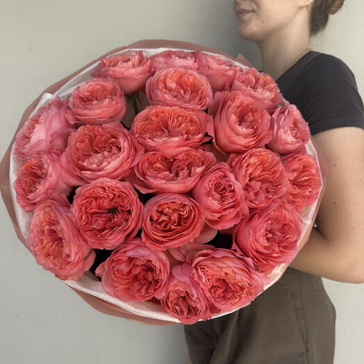 Coral Passion