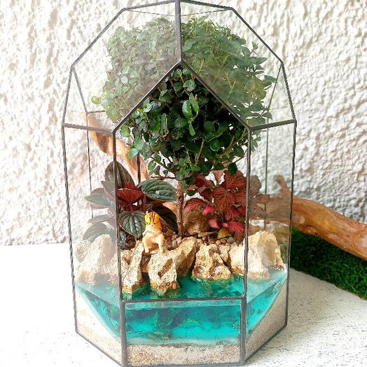 Florarium "Kot Rybak"