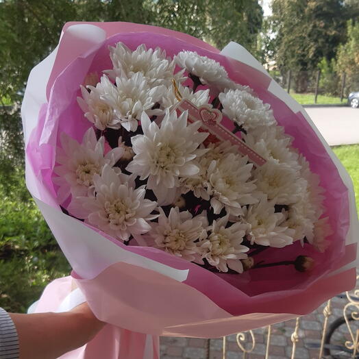 Мини комплимент