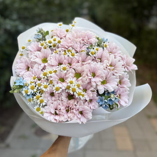 Кустовая хризантема с ромашкой и незабудкой
