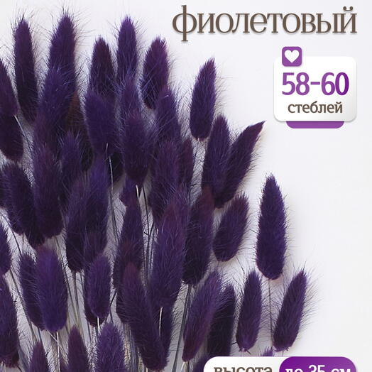 Лагурус фиолетовый 60 шт. Высший сорт. Высота 25-35 см М240