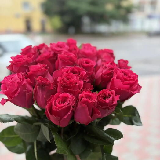 Малиновые розы