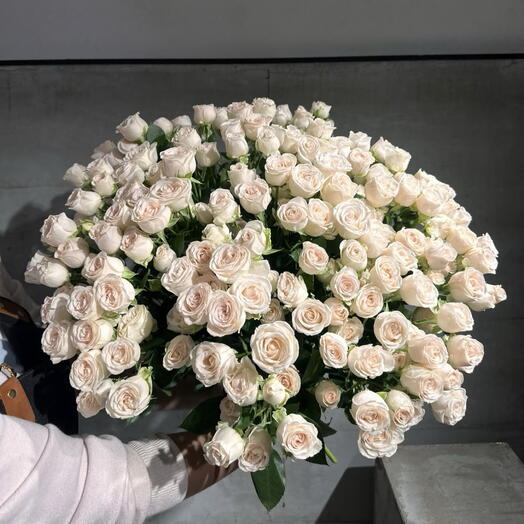 Sweet Rose