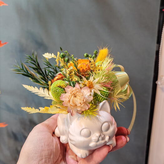 Котик