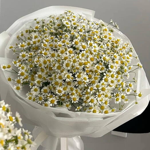 Букет из 23 кустовых ромашек