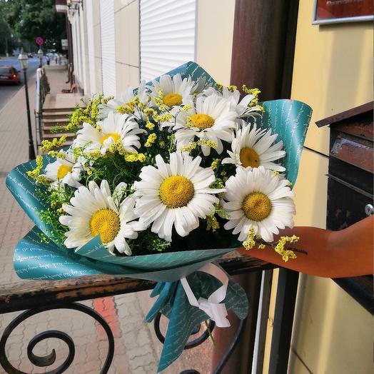 Ромашковое чудо