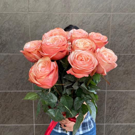 9 пионовидных роз 💕