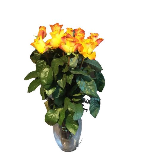 Orange roses