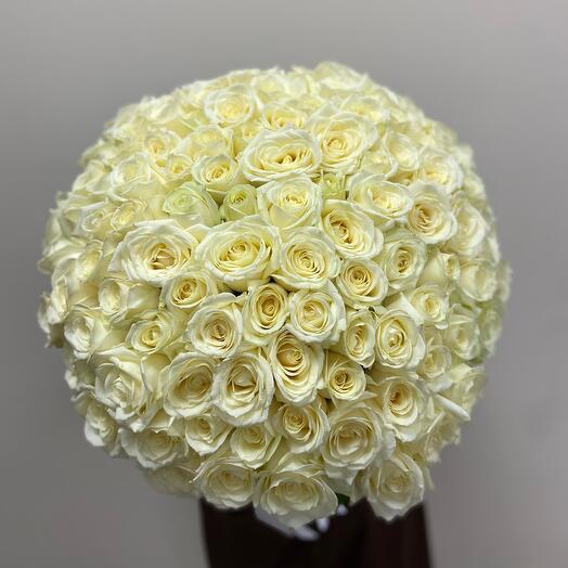 101 White Roses