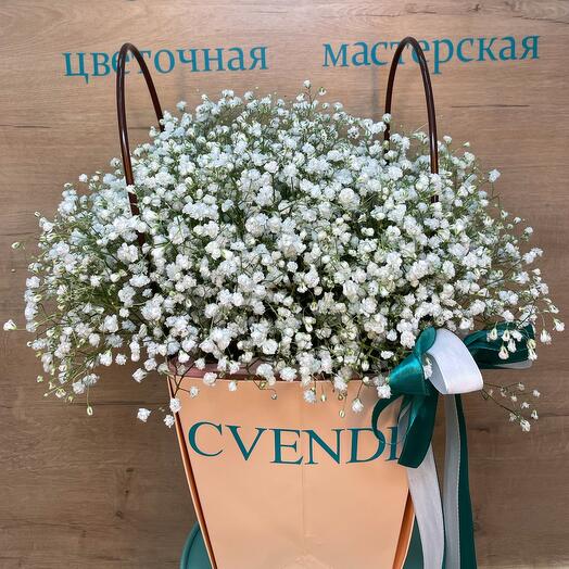 Гипсофила в коробке