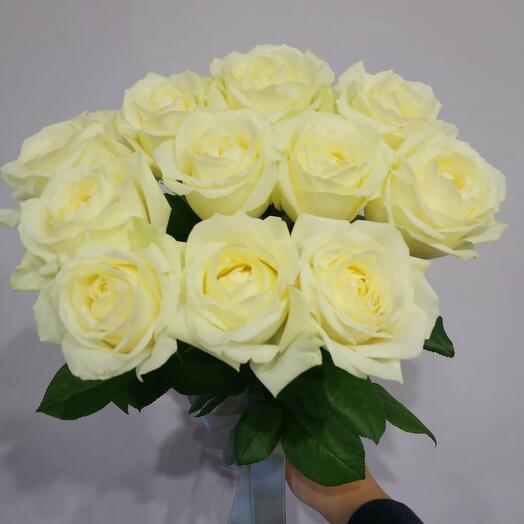 Роза белая