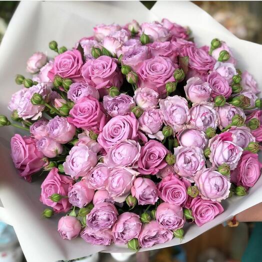 Lavender Dreams