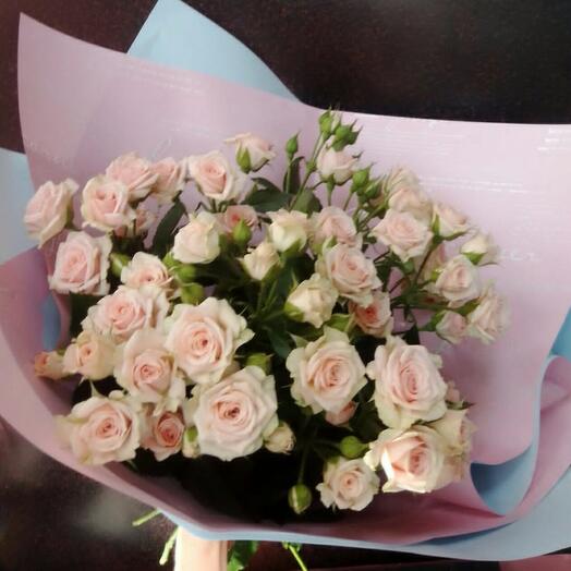 Delicate roses