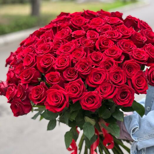 Роскошный Букет из 75 Красных Роз. Цветы Красноярск