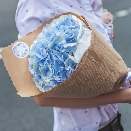 Bouquet of Blue hydrangea