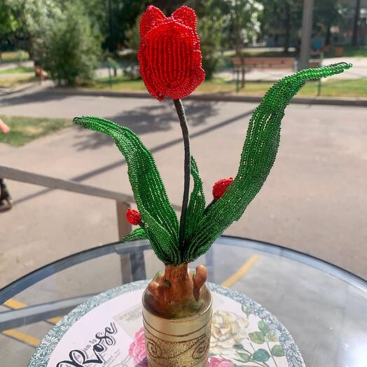 Cuentas de tulipán