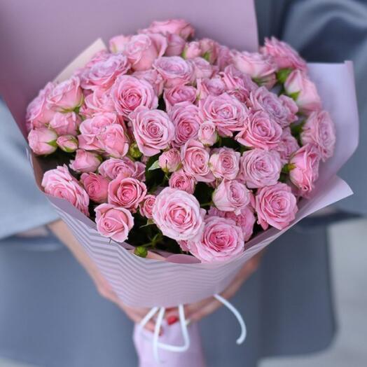 Softness