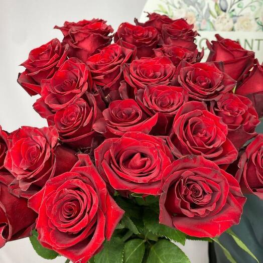 25 scarlet roses