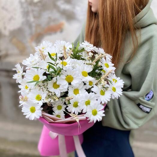 5 chamomile chrysanthemums