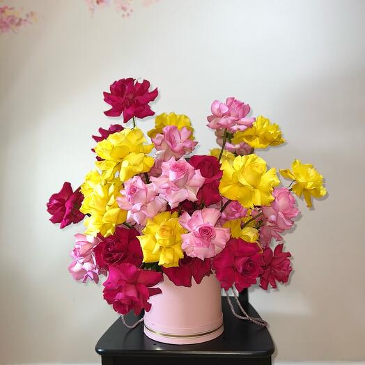 Braziliya Karnavalı