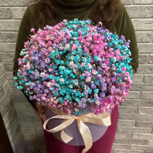 Gypsophila in a box