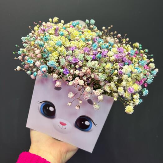 Гипсофила радужная в коробке