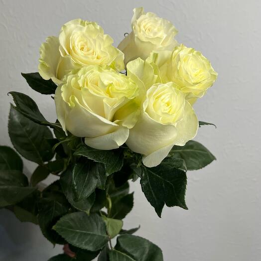 Ramo de 5 rosas blancas 80 cm