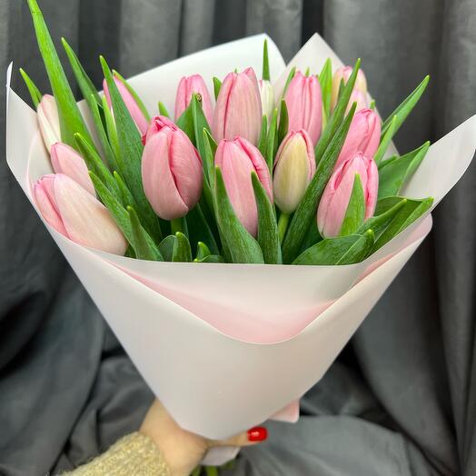 Tulip 19 pcs pink