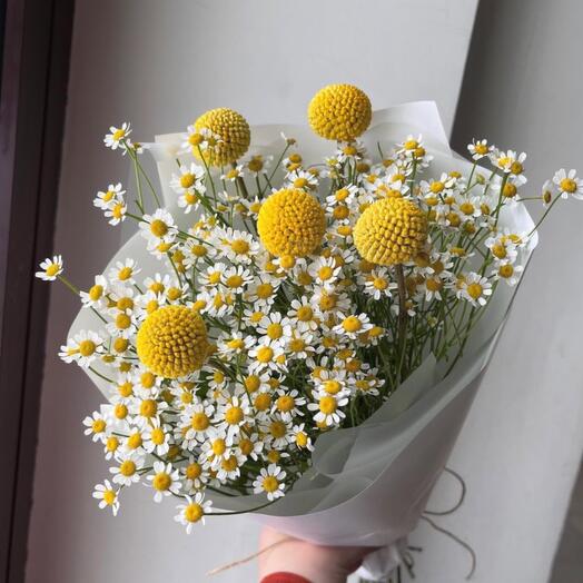 Солнечное настроение