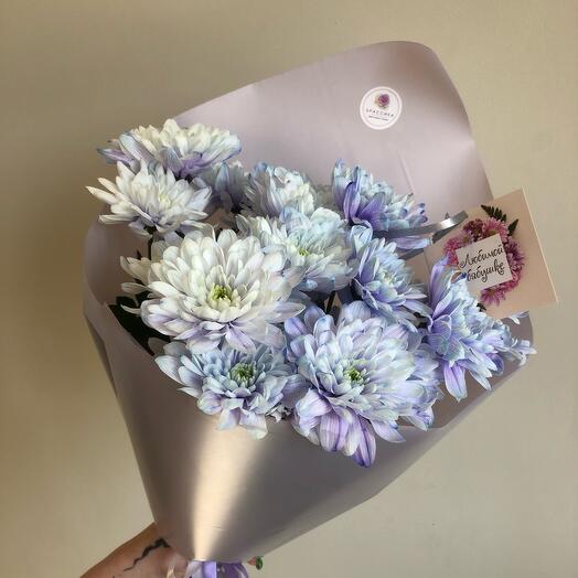 Crisantemo de lavanda en un paquete delicado