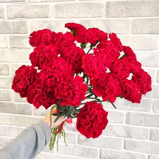 Bouquet of 15 red carnations