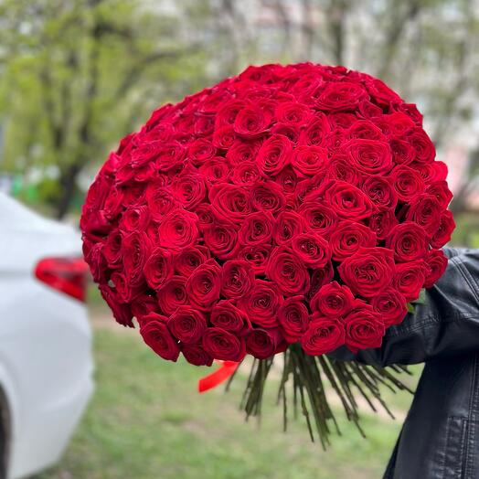 151 РОЗА