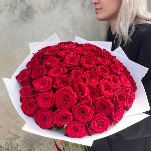 Моно красных роз