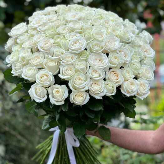 101 roses