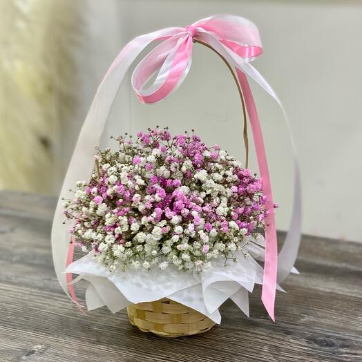 Gypsophila in the basket
