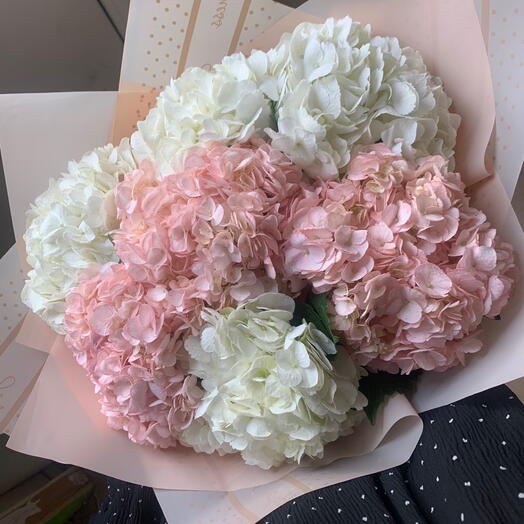7 delicate hydrangeas