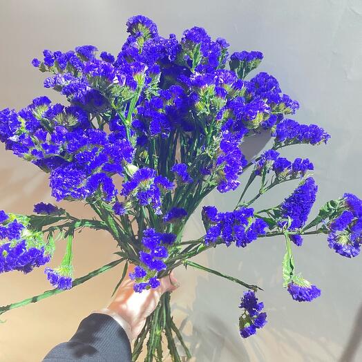 Букет статиц