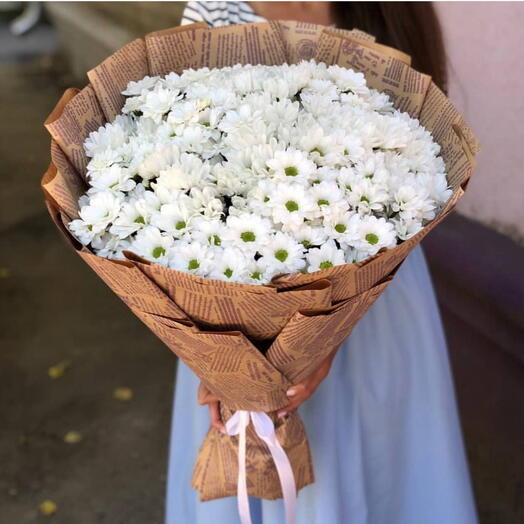 Рамашковый хризантема