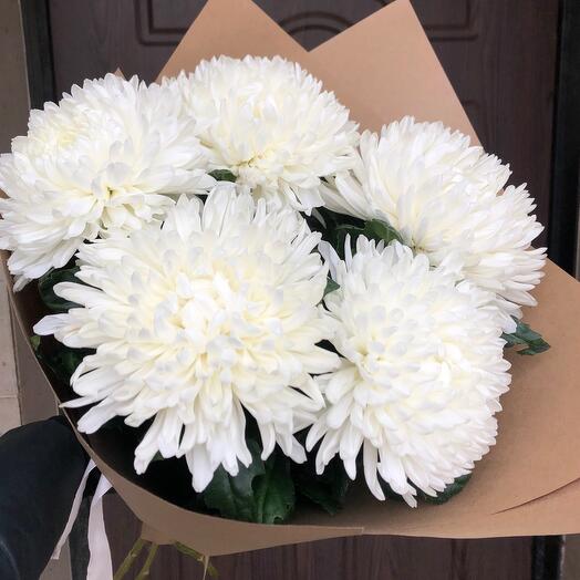Chrysanthemum