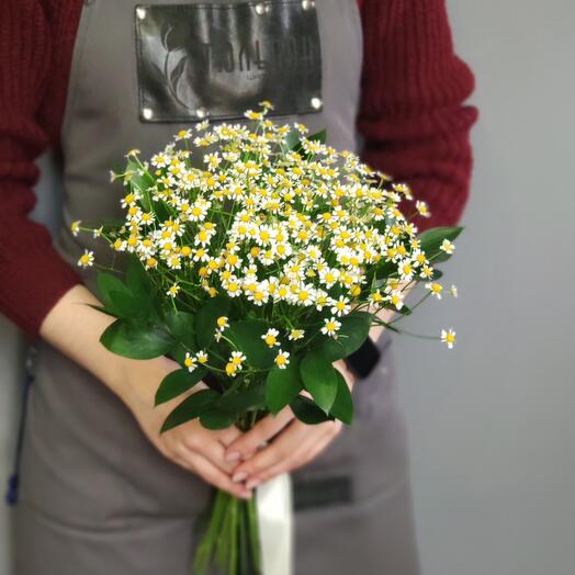 Букет Ромашек 9
