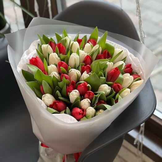 51 Red and White Tulip