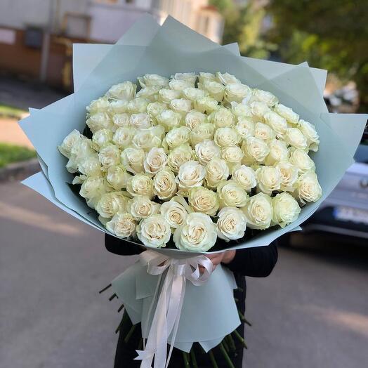 71 White Rose